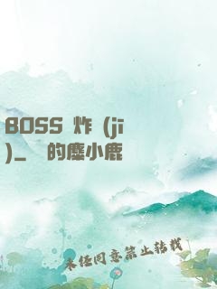 BOSS轟炸機(jī)