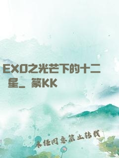 EXO之光芒下的十二顆星