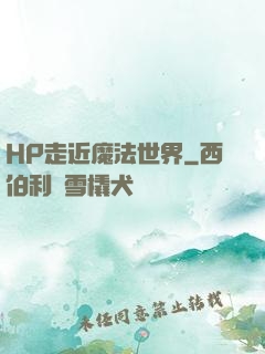 HP走近魔法世界
