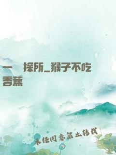 一個偵探所