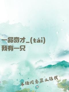 一品奇才