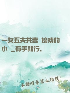 一女五夫共妻蘇婉晴的小說