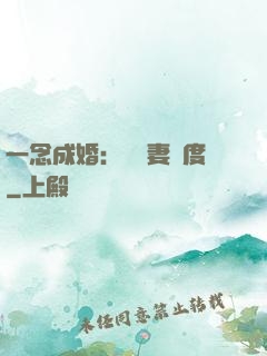 一念成婚：爺寵妻無度