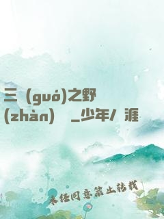 三國(guó)之野戰(zhàn)無雙