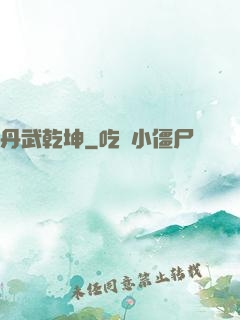 丹武乾坤