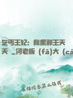 乞丐王妃：腹黑邪王天天寵