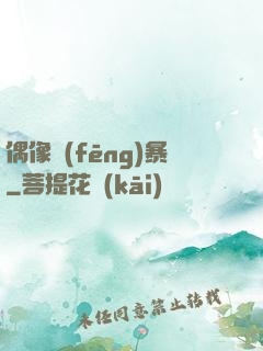 偶像風(fēng)暴