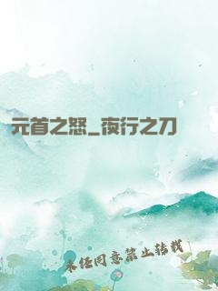 元首之怒