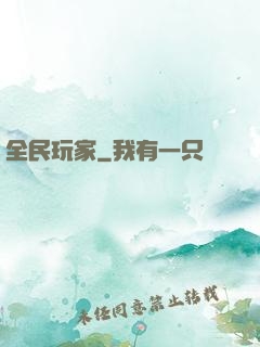 全民玩家