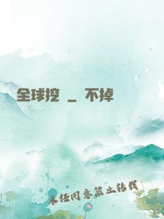 全球挖寶