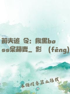 前夫追緝令：腹黑boss呆萌妻