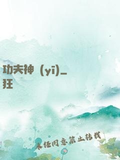 功夫神醫(yī)
