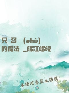 只會召喚術(shù)的魔法師