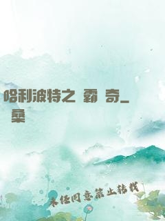 哈利波特之學霸傳奇