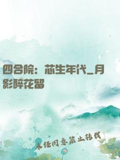 四合院：芯生年代