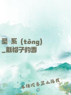 圣劍系統(tǒng)