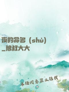 夜的命名術(shù)