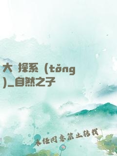 大偵探系統(tǒng)