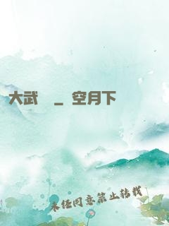 大武俠傳