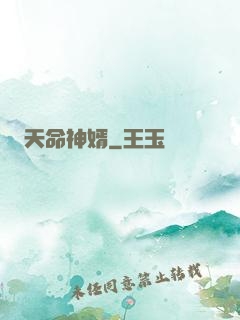 天命神婿