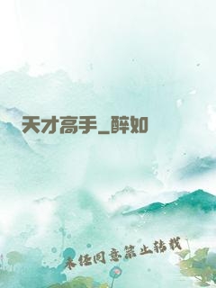 天才高手