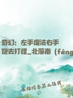 奇幻：左手魔法右手槍炮去打怪