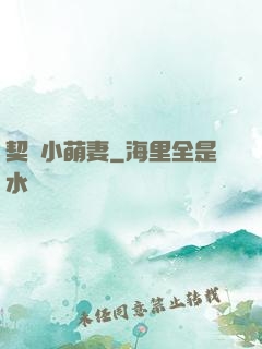 契約小萌妻