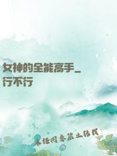 女神的全能高手