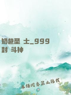 奶爸圣騎士