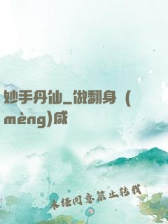 妙手丹仙