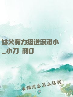 姑父有力挺送徐湫小說