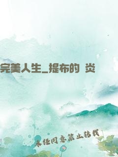 完美人生