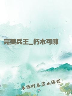完美兵王