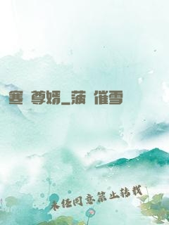 寒門尊婿