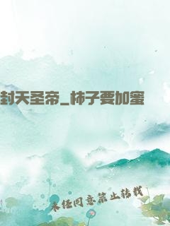 封天圣帝
