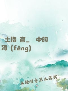 廢土指揮官