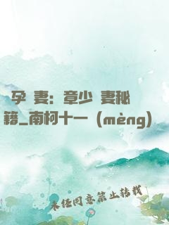 懷孕嬌妻：章少寵妻秘籍