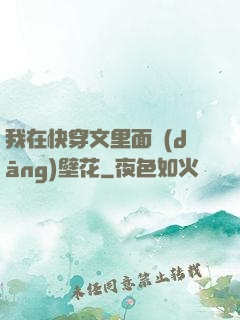我在快穿文里面當(dāng)壁花