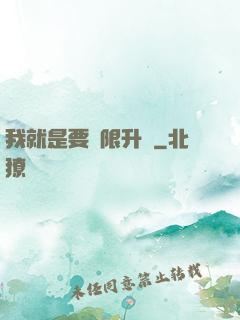 我就是要無限升級