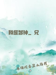 我是智神