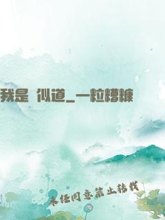 我是賈似道