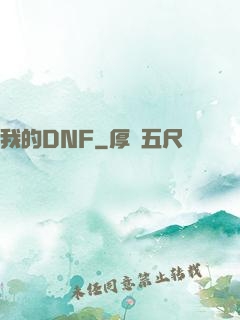 我的DNF
