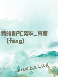 我的NPC男友