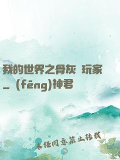 我的世界之骨灰級玩家