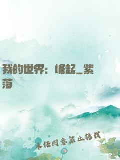 我的世界：崛起