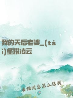 我的天后老婆