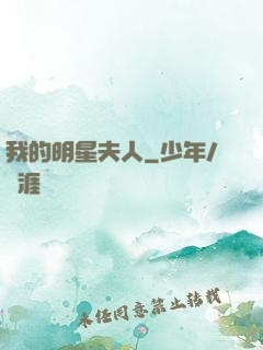我的明星夫人