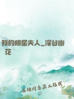 我的明星夫人