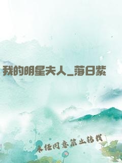 我的明星夫人