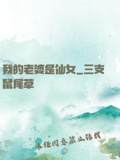 我的老婆是仙女